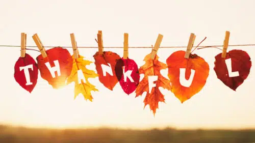 E-Learning Forum - The Power of Gratitude When Growing a Business - Nov 2017