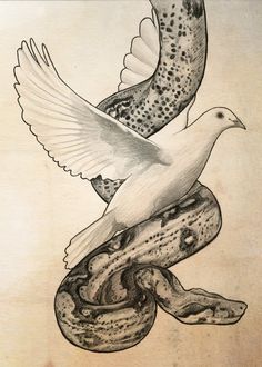 snake dove - Nehemiah Entrepreneurship Community