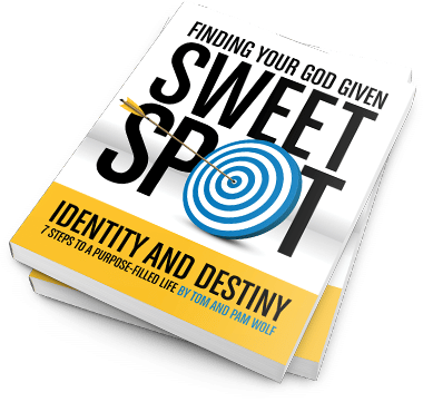 finding your god given sweet spot - Nehemiah Entrepreneurship Community