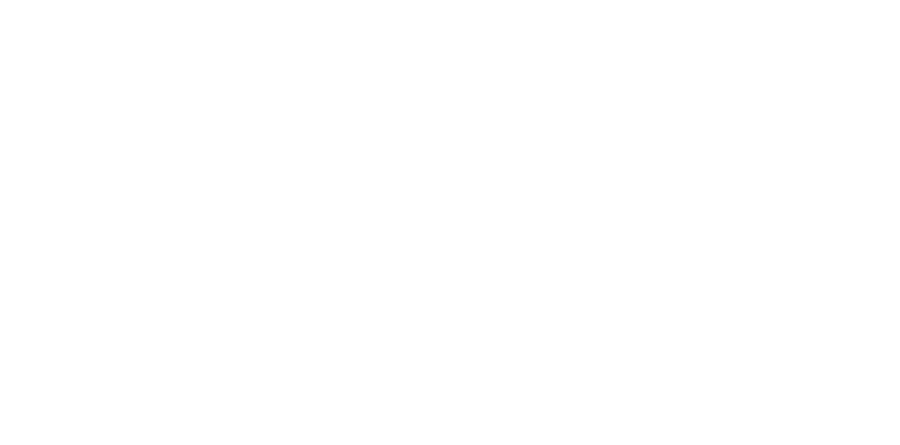 Sustainable Church Initiative logo white - Nehemiah Entrepreneurship Community