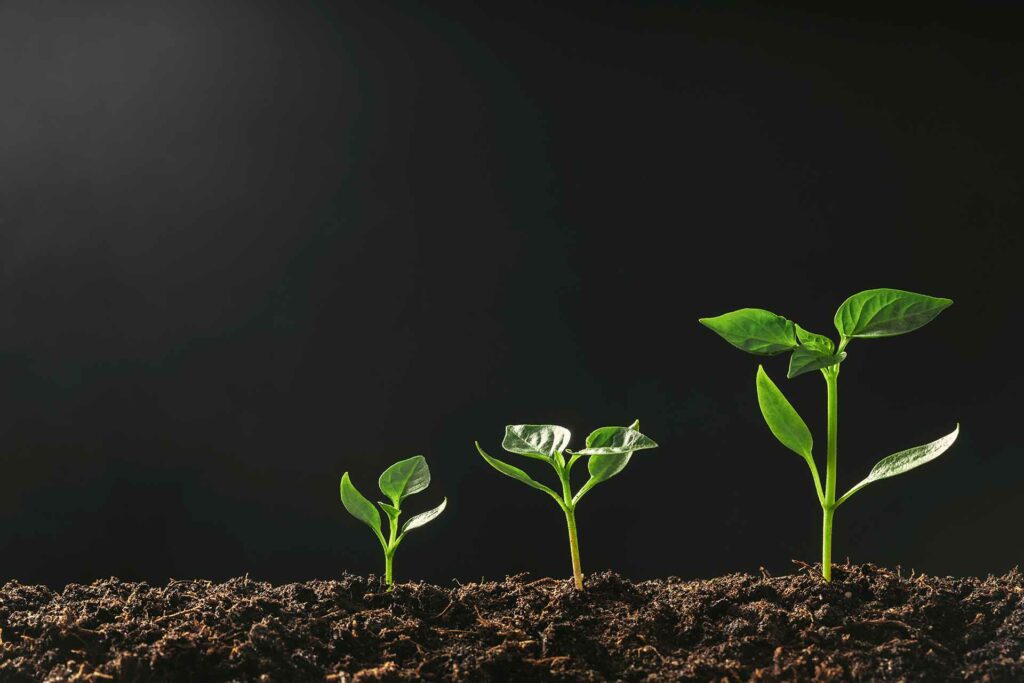 plant grow seasons - Nehemiah Entrepreneurship Community