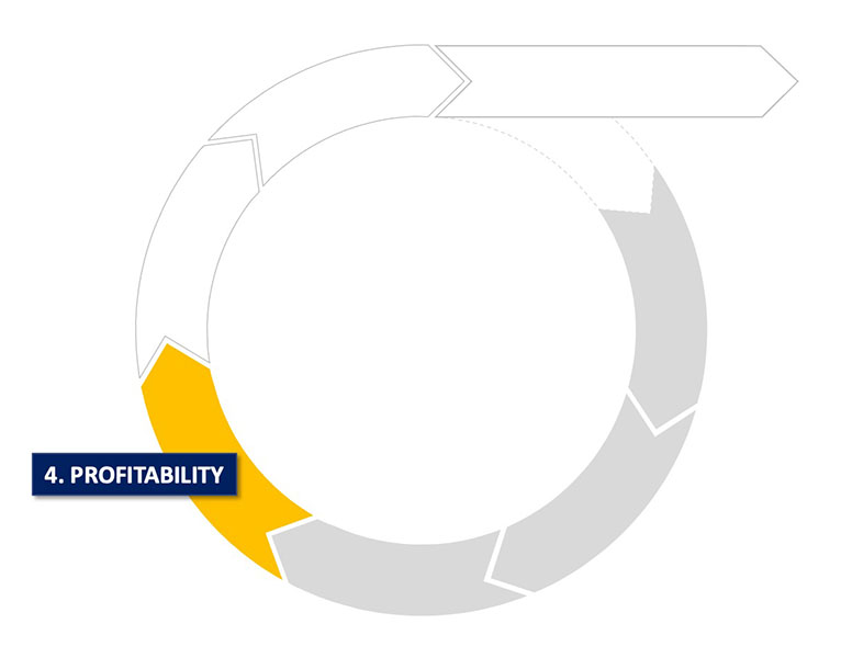 lc profitability stage - Nehemiah Entrepreneurship Community